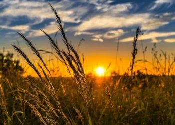 شهر نونبر الأعلى حرارة على الإطلاق