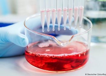 الرئيس الاندونيسي..يعلن تسلم بلاده  1.2 مليون جرعة من لقاح شركة “سينوفاك بيوتيك” الصينية