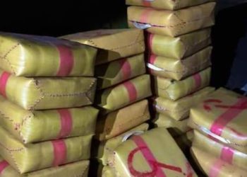 ميناء طنجة المتوسط.. إحباط محاولتين منفصلتين لتهريب 745 كيلوغراما من مخدر الشيرا