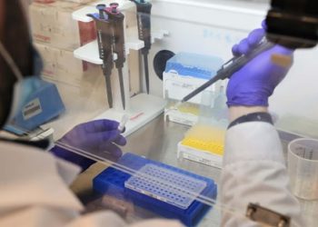 جهة فاس مكناس .. تسجيل 63 حالة إصابة جديدة بفيروس كورونا خلال ل24 ساعة الماضية