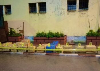 القنيطرة.. إحباط عملية تهريب طن و120 كيلوغراما من مخدر الشيرا على متن شاحنة للنقل الطرقي للبضائع