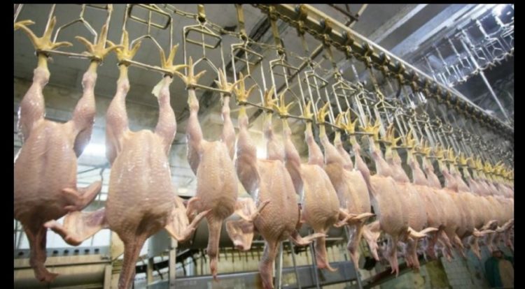 فرنسا تحظر الذبح الحلال و ردود فعل معارضة من المساجد