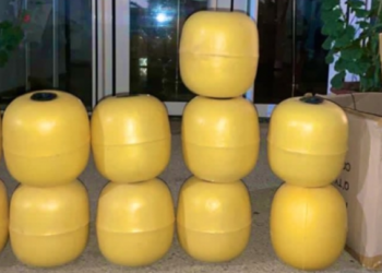 طنجة.. حجز 695 كيلوغراما من مخدر الشيرا وتوقيف سبعة أشخاص