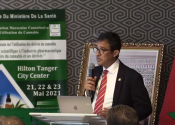 طنجة .. المؤتمر الأول حول الاستخدام السليم  لمشتقات القنب الهندي