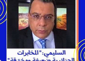 منار السليمي .. هذه أسماء الجنرالات الجزائرية المتورطة في تزورير  وثائق المدعو  غالي