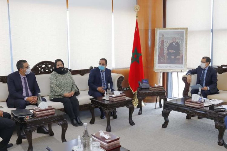 رئيس الحكومة يستقبل ممثلي عدد من الهيآت المهنية