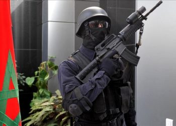 توقيف عنصرين خطيرين مواليين لـ”داعش”