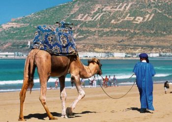 وزارة الاقتصاد  .. الصيف فترة مواتية لتحقيق انتعاش سياحي