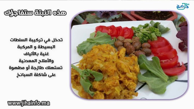 اكتشفي هذه النبتة وقولي وداعا للتجاعيد