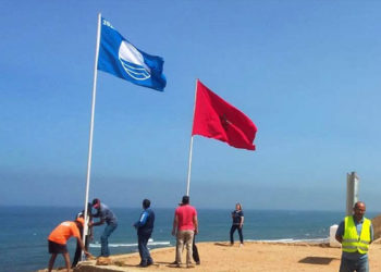 هذه الشواطئ  نقية وفيها الجودة