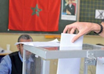 انطلاق الحملة الانتخابية للغرف المهنية و 12 ألف مترشح على رأسهم حزب الحمامة