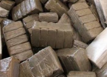حجز كمية من مخدر الشيرا ضواحي مدينة تيزنيت