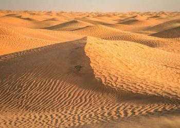 تونس .. العثور على جثث ستة مهاجرين غير شرعيين في الصحراء