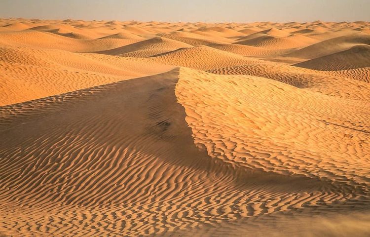 تونس .. العثور على جثث ستة مهاجرين غير شرعيين في الصحراء