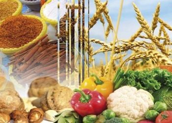 أداء جيد لقطاع تصدير المنتجات الغذائية الفلاحية خلال 2021