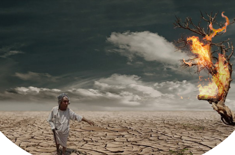 اليوم العربي للأرصاد الجوية تحت شعار “معا نواجه الطقس المتطرف”