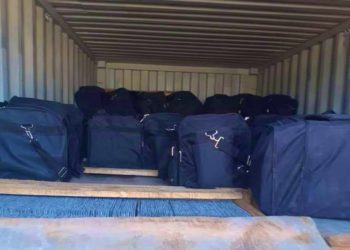 ميناء طنجة المتوسط.. إجهاض عملية كبرى للتهريب الدولي للمخدرات