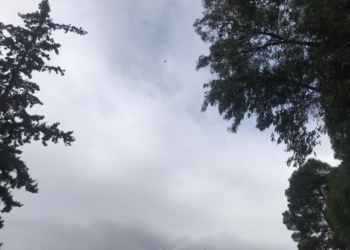 توقعات أحوال الطقس اليوم السبت