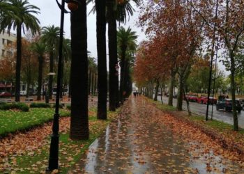 توقعات أحوال الطقس ليوم الثلاثاء