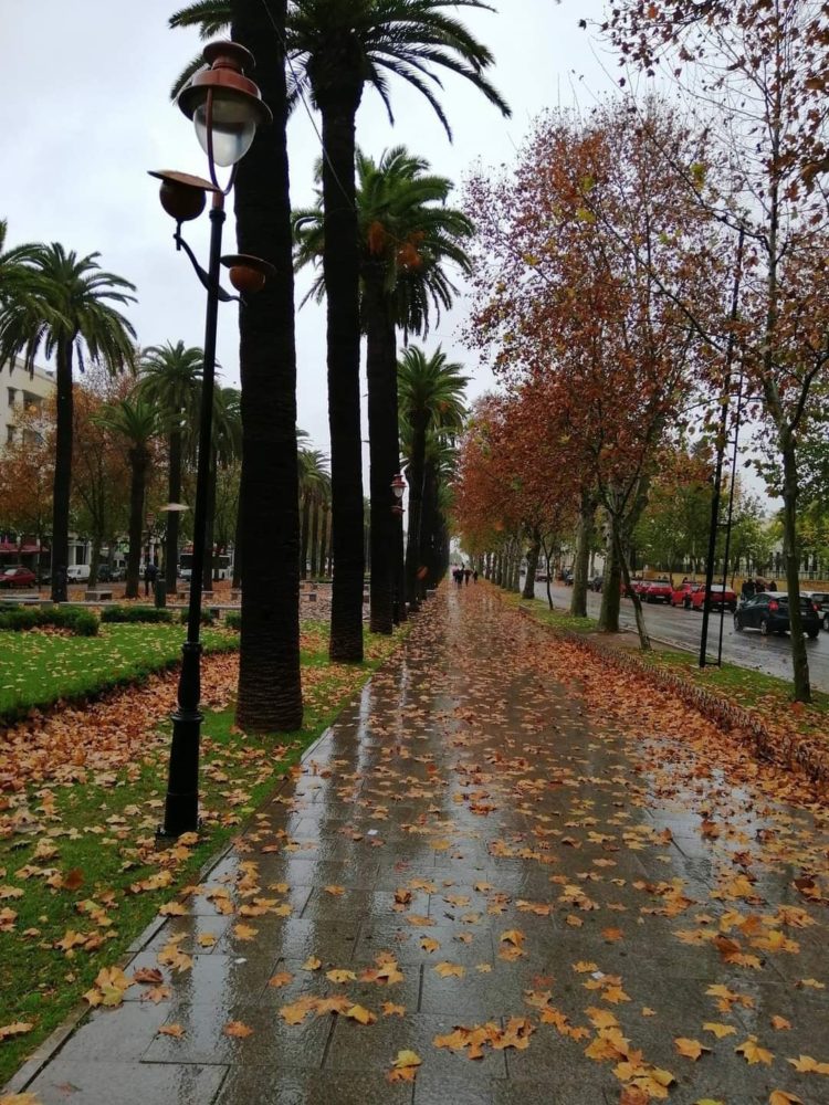 توقعات أحوال الطقس ليوم الثلاثاء