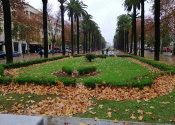 توقعات أحوال الطقس ليوم الاثنين