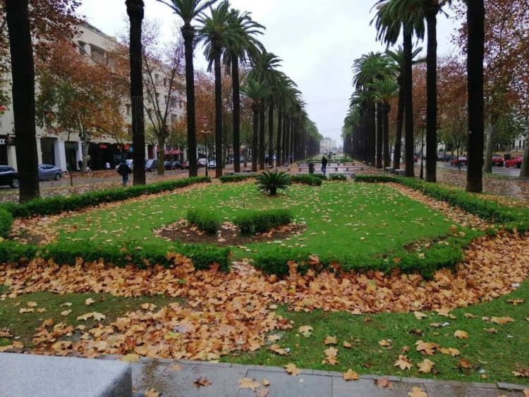 توقعات أحوال الطقس ليوم الاثنين