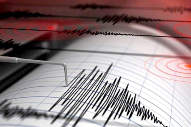 تسجيل هزة أرضية بقوة 3.9 درجات ببحر البوران