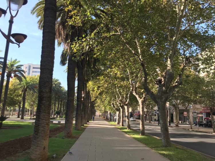 توقعات أحوال الطقس اليوم السبت