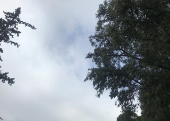 هذه توقعات أحوال الطقس لنهار اليوم