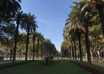 هذه توقعات أحوال الطقس لنهار اليوم