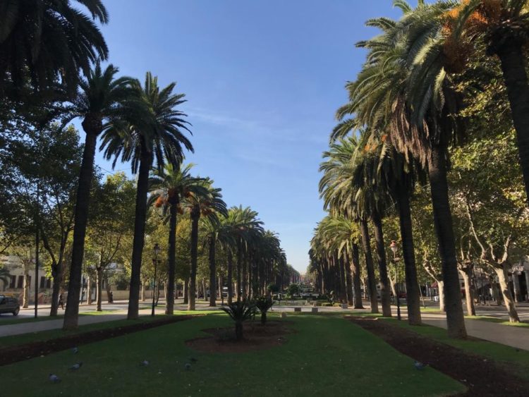 هذه توقعات أحوال الطقس لنهار اليوم