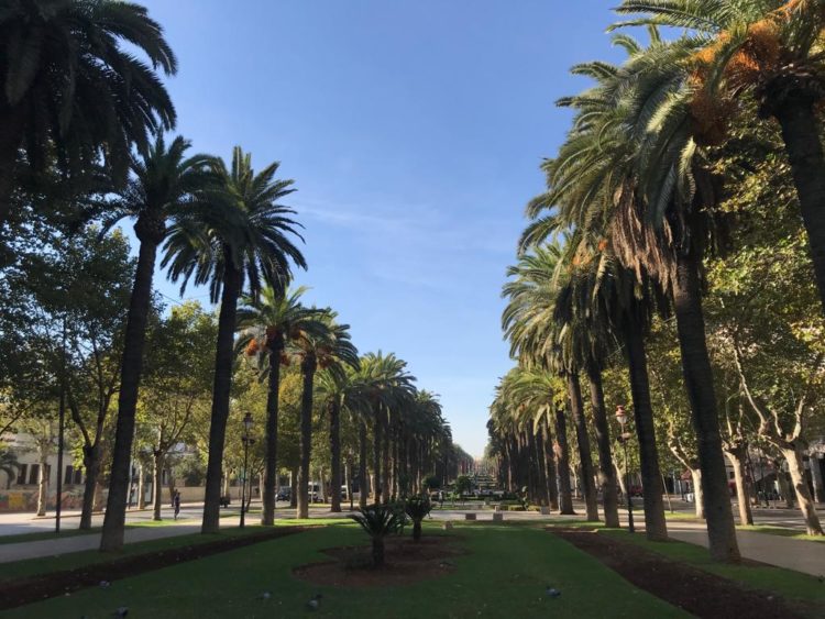 هذه توقعات أحوال الطقس لنهار اليوم