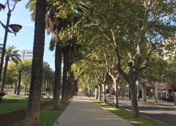 هذه توقعات أحوال الطقس لنهار اليوم