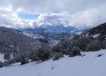 هذه توقعات أحوال الطقس لنهار اليوم