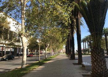 هذه توقعات أحوال الطقس لنهار اليوم