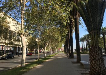 هذه توقعات أحوال الطقس لنهار اليوم