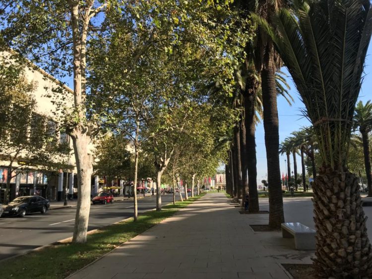 هذه توقعات أحوال الطقس لنهار اليوم