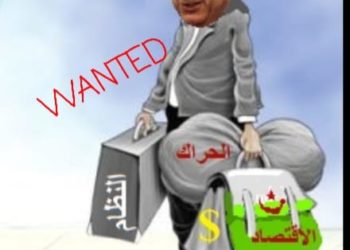 عاجل..الجزائر تفقد البوصلة