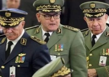 بعدما اتهم فيها المغرب: ضابط جزائري يفضح الكابرنات في حرائق الغابات تيزي وزو