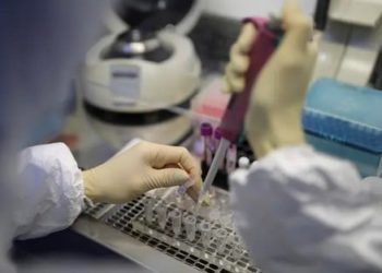 جهة فاس مكناس .. تسجيل1101 إصابات جديدة بفيروس كورونا خلال ل24 ساعة الماضية