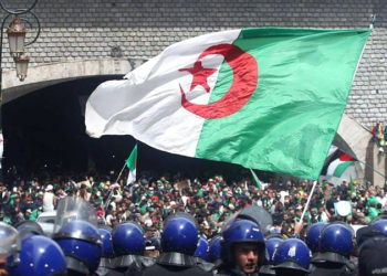 الجزائر..مسؤولة أممية تدعو إلى الإفراج الفوري عن نشطاء حقوق الانسان