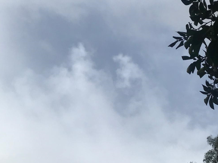 توقعات أحوال الطقس لنهار اليوم