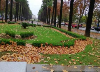 هذه توقعات أحوال الطقس لنهار اليوم