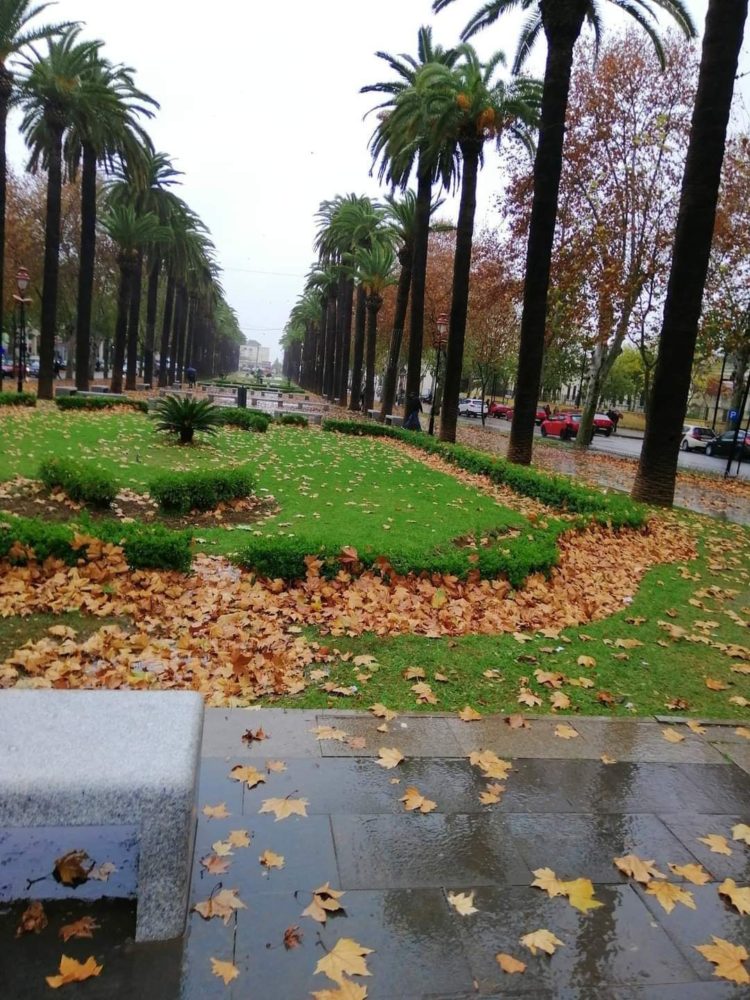 هذه توقعات أحوال الطقس لنهار اليوم