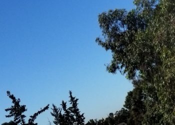 هذه توقعات أحوال الطقس لنهار اليوم