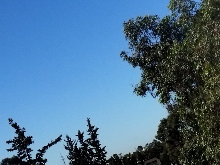 هذه توقعات أحوال الطقس لنهار اليوم