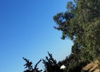 هذه توقعات أحوال الطقس لنهار اليوم