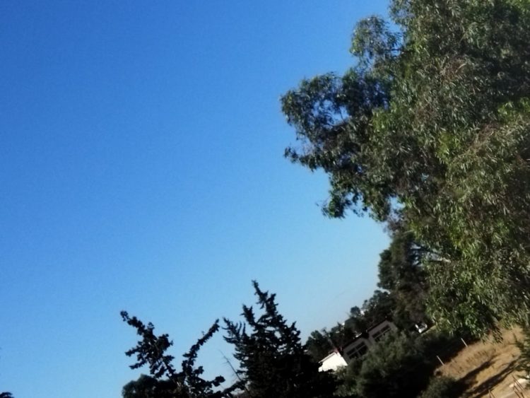 هذه توقعات أحوال الطقس لنهار اليوم