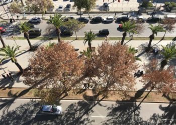 هذه توقعات أحوال الطقس لنهار اليوم