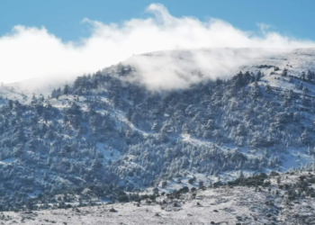 توقعات أحوال الطقس لنهار اليوم